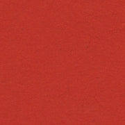 Maximus A4 (210 x 297mm) / Red / Card Maximus Eco Elephant Dung Paper