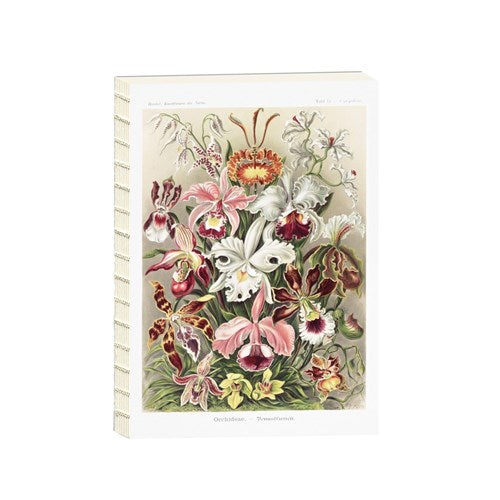 Memmo MEMMO Coptic-bound Notebook - A5, Plain, Orchidae-Denusblumen