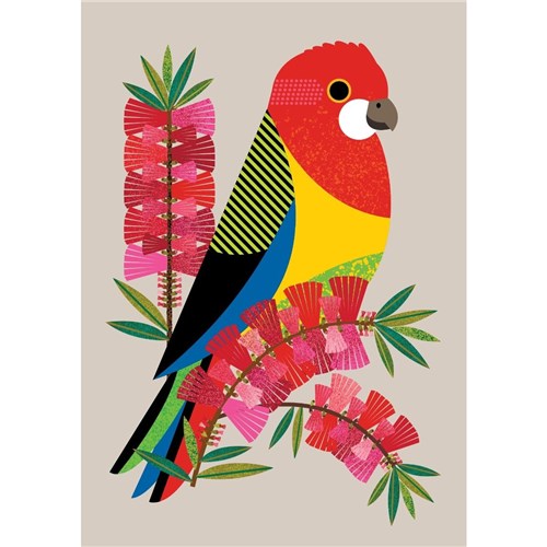 Natalie Marshall Little Hello Studio Greeting Card - Eastern Rosella