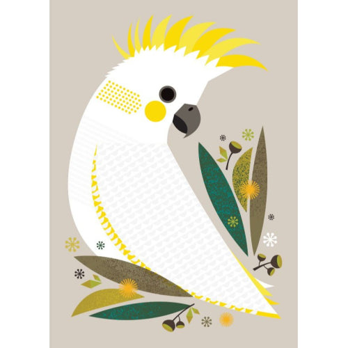 Natalie Marshall Little Hello Studio Greeting Card - Sulphur Crested Cockatoo