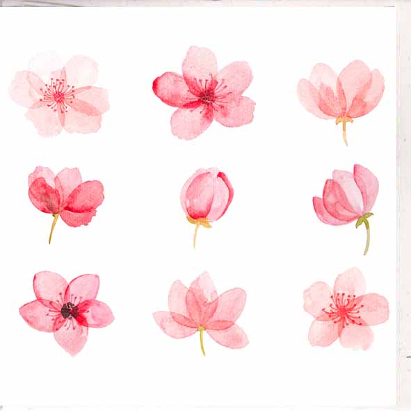 Paper Street Card Co. Paper Street Greeting Card - Cherry Blossom