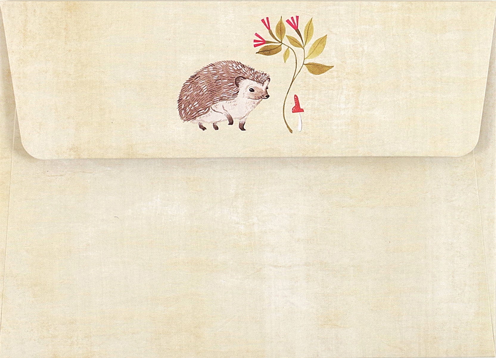 Peter Pauper Press Note Card Set - Hedgehog