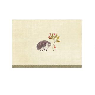 Peter Pauper Press Note Card Set - Hedgehog