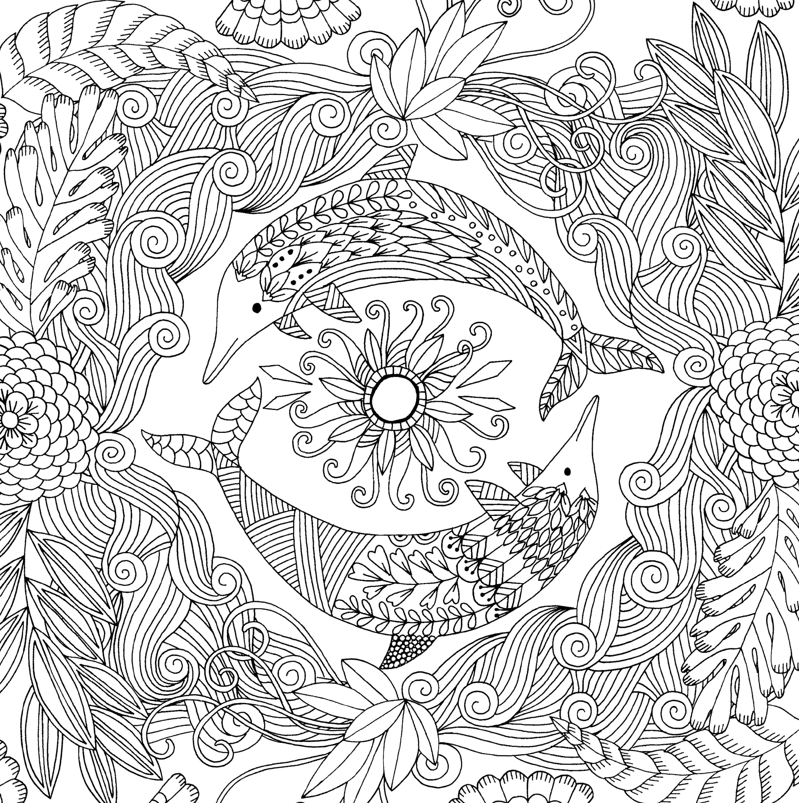 Peter Pauper Press Studio Series Colouring Book - Follow Your Dreams