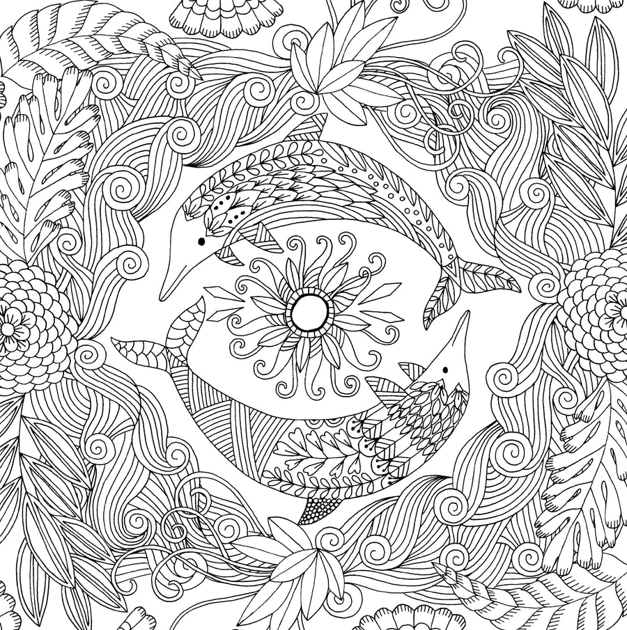 Peter Pauper Press Studio Series Colouring Book - Follow Your Dreams