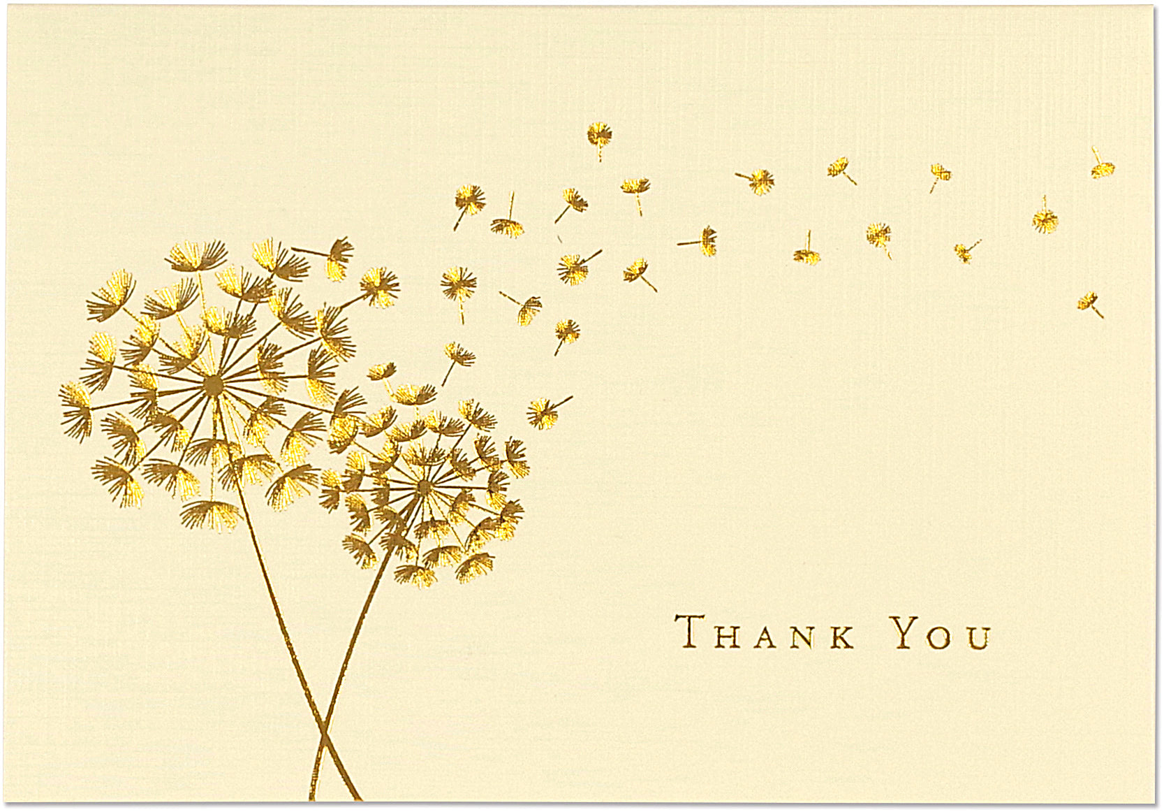 Peter Pauper Press Thank You Card Set - Dandelion Wishes