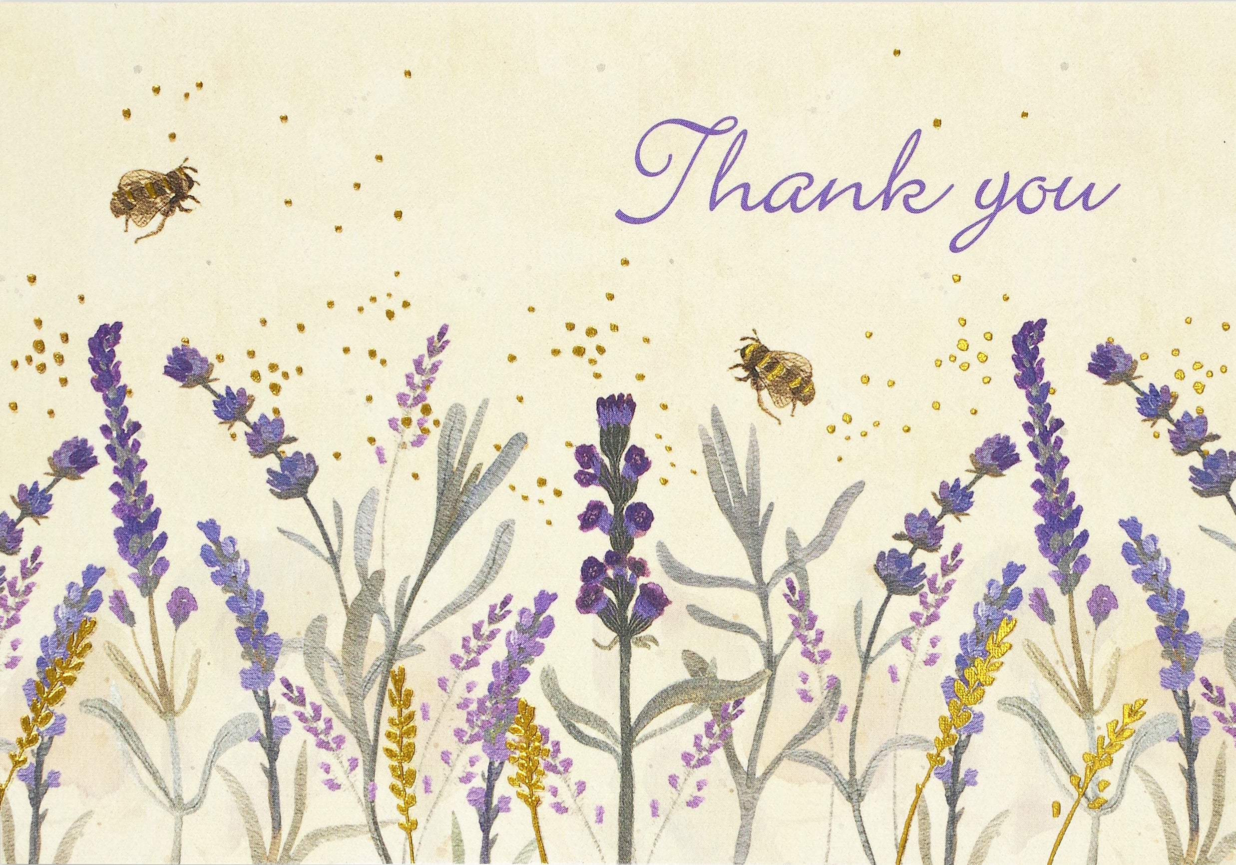 Peter Pauper Press Thank You Card Set - Lavender & Honey