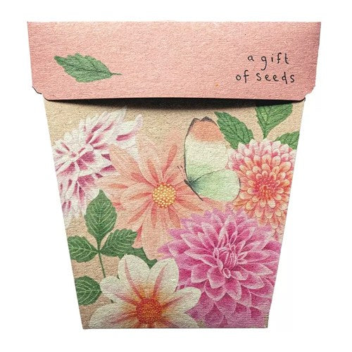 Sow n Sow Gift of Seeds Card - Dahlia