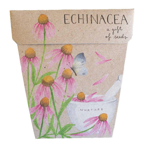 Sow n Sow Gift of Seeds Card - Echinacea