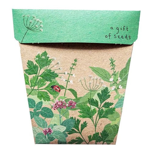 Sow n Sow Gift of Seeds Card - Garden Herbs