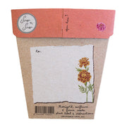 Sow n Sow Gift of Seeds Card - Secret Garden