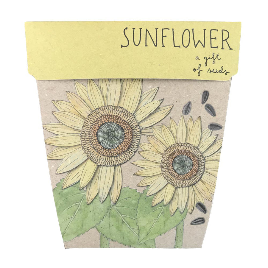 Sow n Sow Gift of Seeds Card - Sunflower