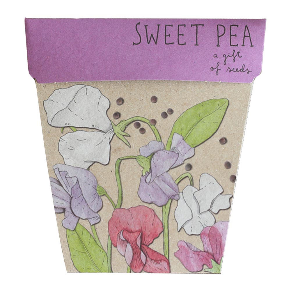 Sow n Sow Gift of Seeds Card - Sweet Pea