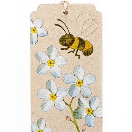 Sow n Sow Seeds Gift Tag - Forget Me Not