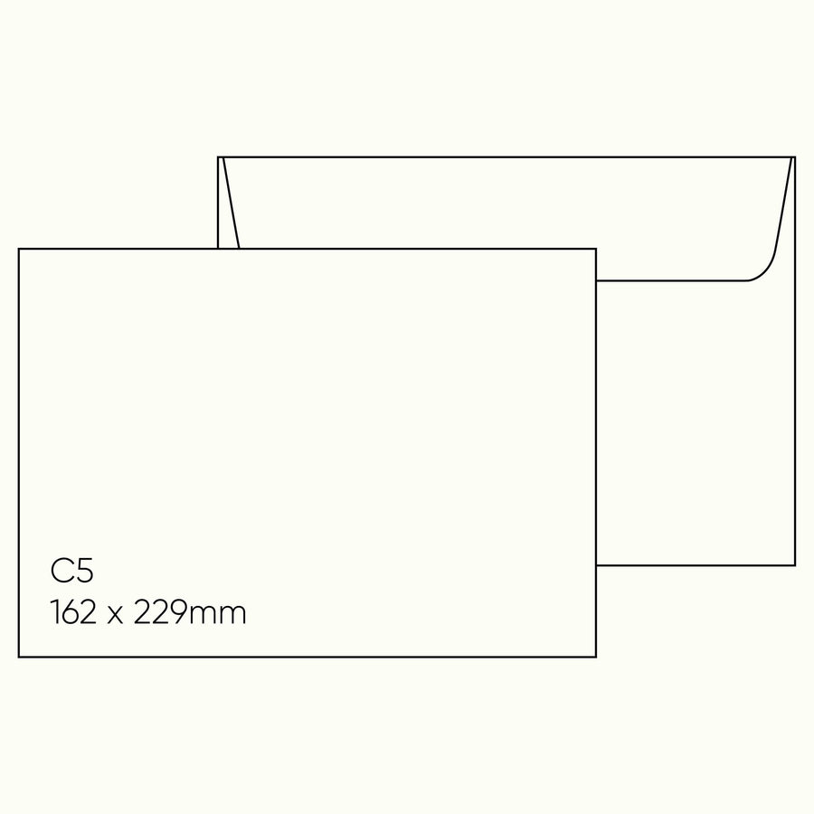 Stephen C5 Envelope (162 x 229mm) - Stephen Gesso White, Pack of 10