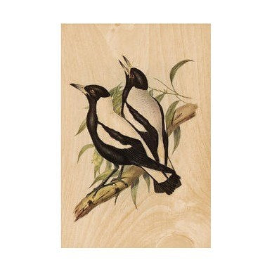 WOODHI Woodhi Postcard - Magpies